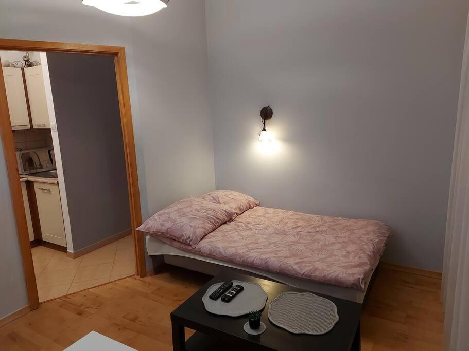 Homelyapartment Krakau Exterior foto